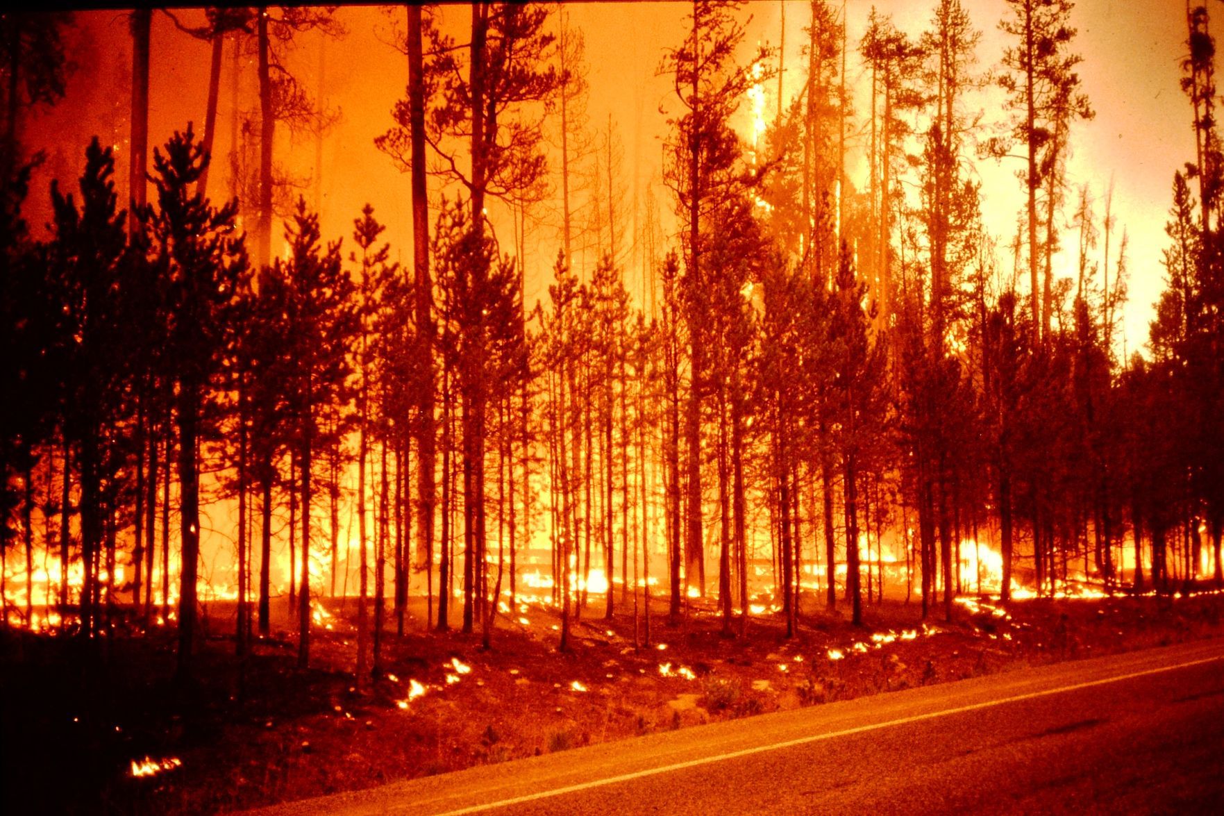 Fire approaches